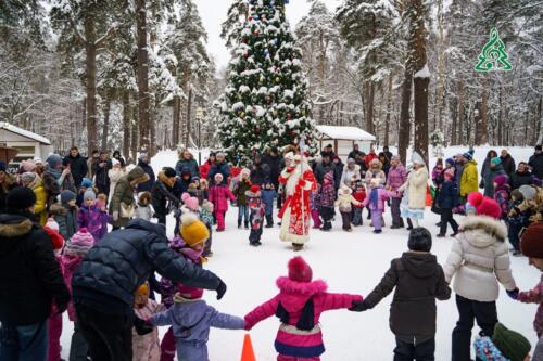 Рождественские гуляния прошли в ДГ «Сказочный»