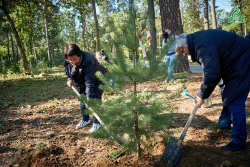 50 молодых сосен высадили в ЭкоПарке «Губайловский» в рамках акции «Наш лес. Посади своё дерево»