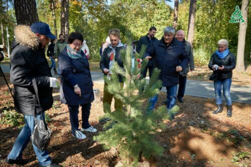50 молодых сосен высадили в ЭкоПарке «Губайловский» в рамках акции «Наш лес. Посади своё дерево»