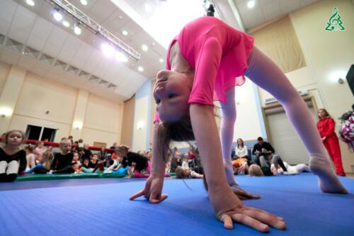 экзамен по акробатике младшей группы цирковой студии сестёр Фоминых